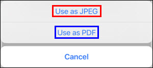 Tap Use as JPG (outlined in red) or Use as PDF (outlined in blue)
