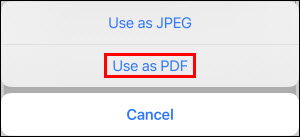 Use as PDF screen shown selected