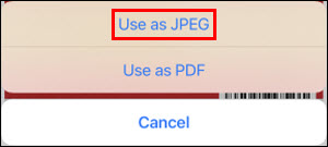 Tap Use as JPEG (outlined in red)