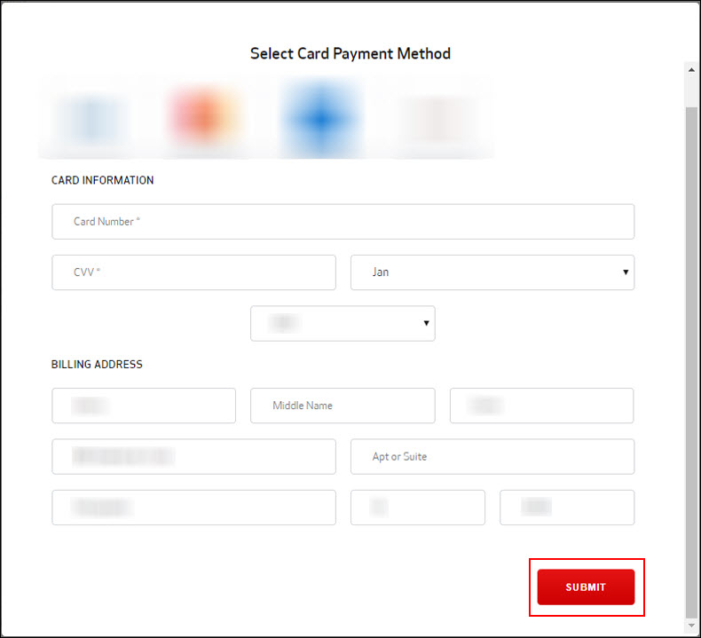 Click Submit (outlined in red) after entering your payment information