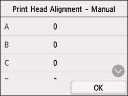 Input screen for head position alignment values