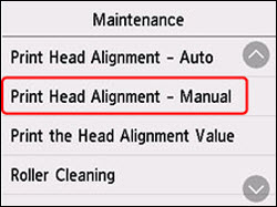 Print Head Alignment - Manual outlined in red