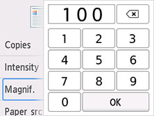 Figure: Touch screen with numeric keypad