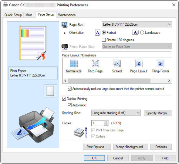 There is no borderless printing option shown
