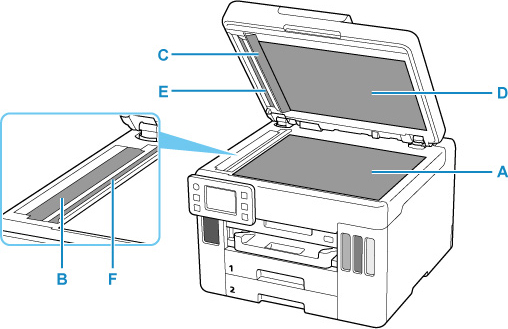 Areas of the printer to clean