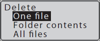 One file selected