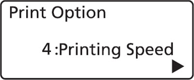 Print speed selection display