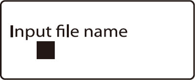File name input display