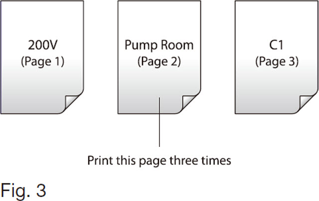 In this example, print Page 2 three times