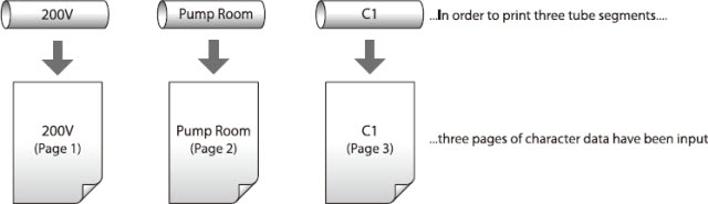 Example of three tube segment printing