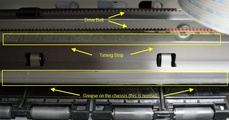 Figure: Inspect the timing strip for grease and dirt