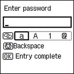 Password entry screen