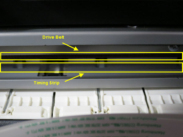 Figure: Drive belt and Encoder (Timing) strip
