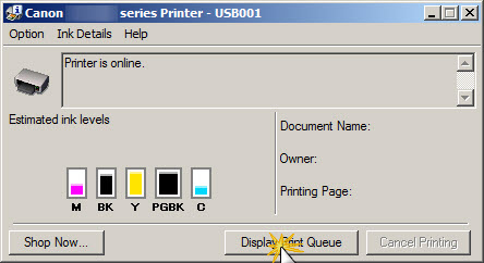 Image: Printer menu screen with Display Print Queue button identified at the bottom.