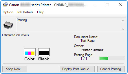 Screen: Printing