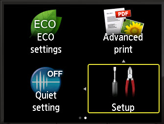 Setup selected from printer main menu
