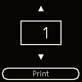 Figure: Specify the number of copies on the printer's LCD