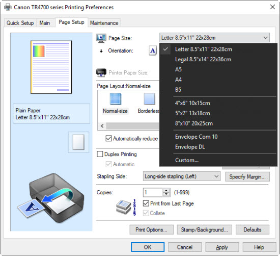 Paper sizes shown in the printer driver