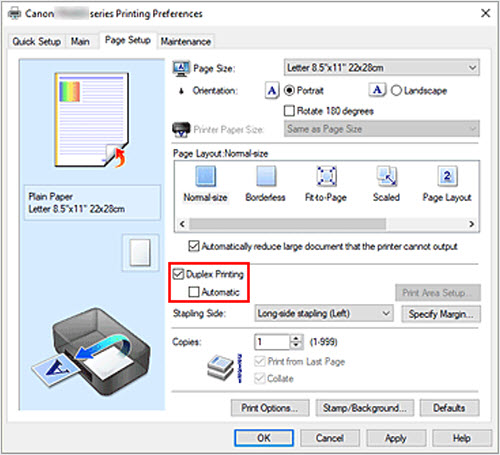 figure:Duplex Printing check box on the Page Setup tab