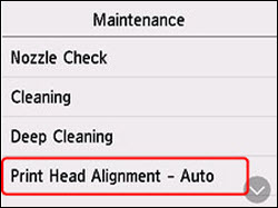 Select Print Head Alignment - Auto