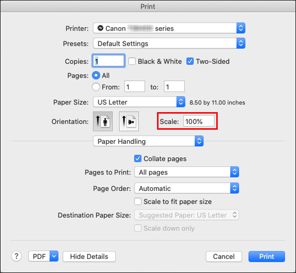 For some programs, you can adjust the print size (scaling) directly in the Print dialog