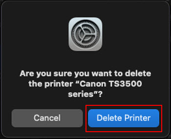 Click Delete Printer (outlined in red)