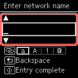 Figure: Enter network name screen
