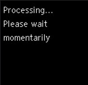Processing... Please wait momentarily