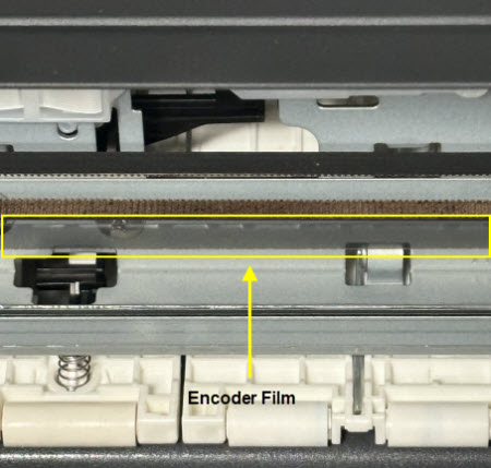 Make sure the Encoder Film inside the printer is clear