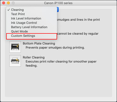Canon IJ Print Utility with Custom Settings selected