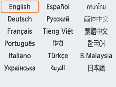 Figure: Language selection screen