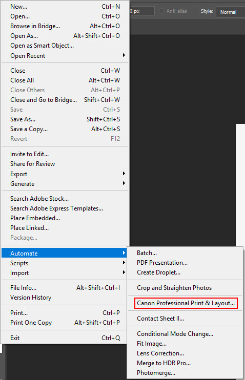 Professional Print & Layout (outlined in red) is in the Automate menu