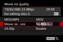 Movie recording size