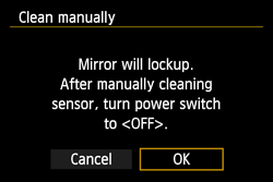 'Clean manually' confirmation screen