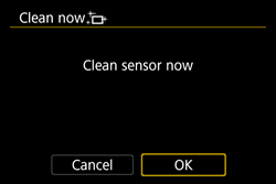 image of the 'clean now' confirmation screen