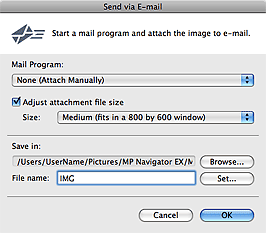 figure: Send via E-mail dialog box