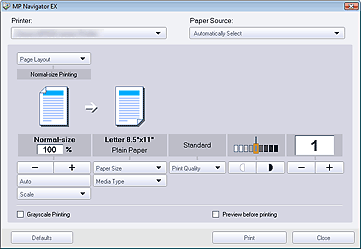 figure: Print Document settings dialog box
