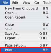 Print dialog screen shown, with Print selected at bottom of list.