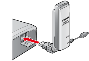skrige afregning musiker Canon Knowledge Base - Connecting the PowerShot SD430 to a printer  wirelessly