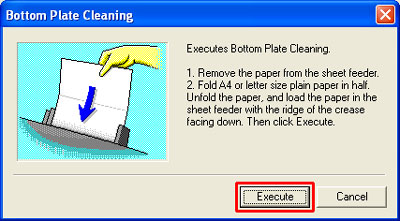 Execute button selected on Bottom Plate Cleaning Screen.