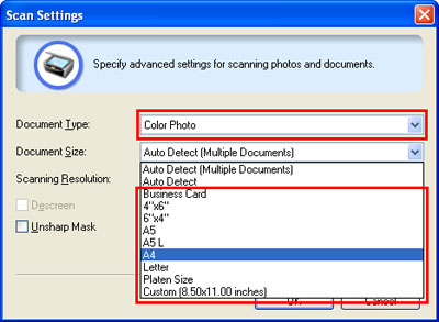 Document Type and size selected from drop-downs