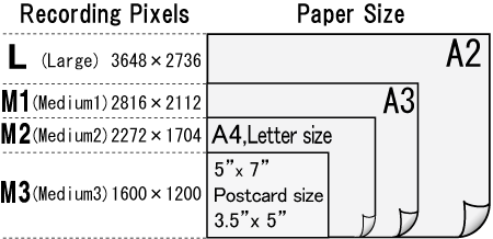 Canon - Approximate print sizes based on resolution for the PowerShot A495.