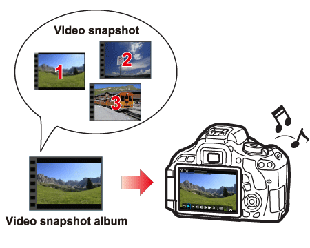dennenboom munitie werkelijk Canon Knowledge Base - How to take video snapshots on the EOS REBEL T3i.