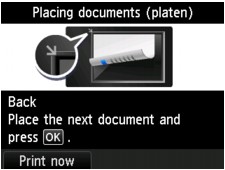 screen shot of the Placing documents (platen) screen