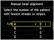screen shot of Manual head alignment input values